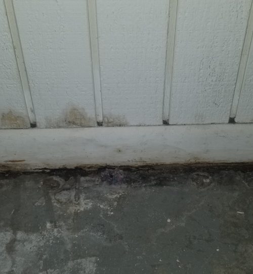 Mold on baseboards