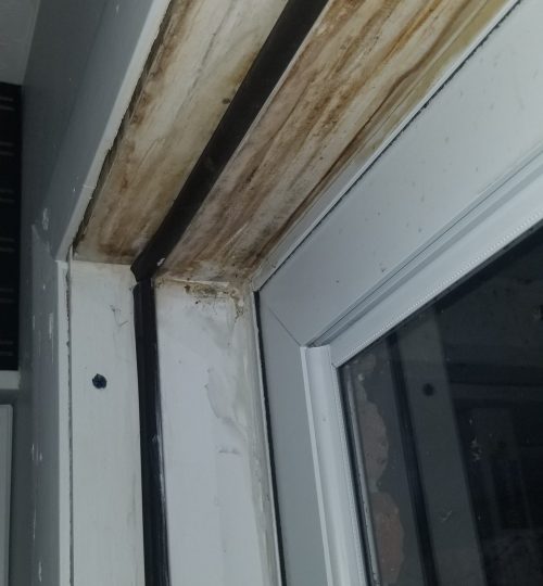 Mold around door