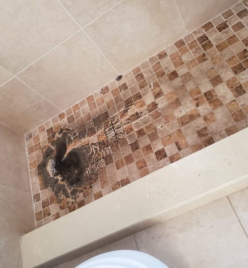 Sewage backup in shower