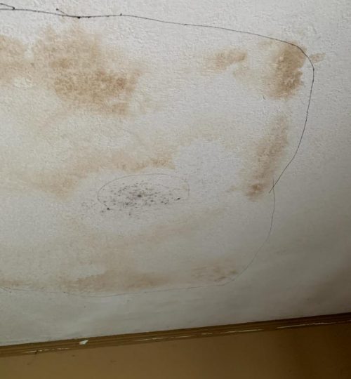 water stain from leaky roof