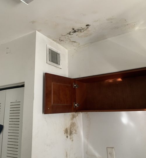 Mold on kitchen ceiling