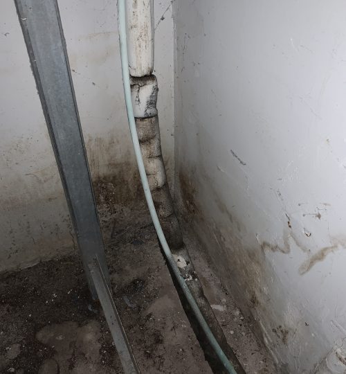 Mold near A/C