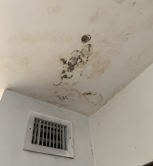 Mold on ceiling